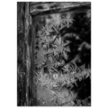 069a9723-81f7-41df-8c69-276f1404c087