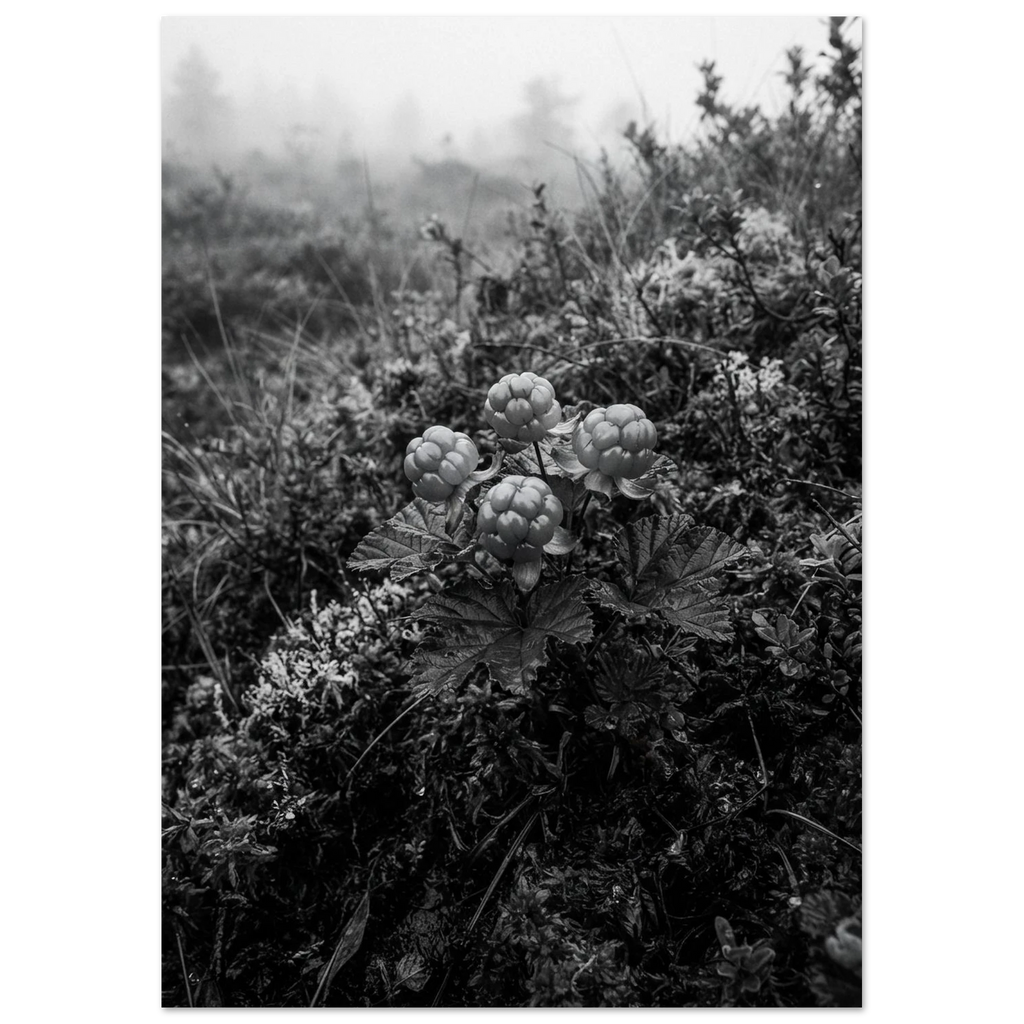 07212f17-ba44-4425-96a7-9f0903c343c2