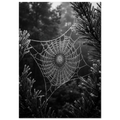 0abdc5f1-1333-4192-ac87-15c0b3f9636f