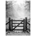 47a52dce-9ec3-4290-b153-f5616c32eb88