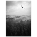 502855c5-3fd4-4ebb-a093-de1496a295eb