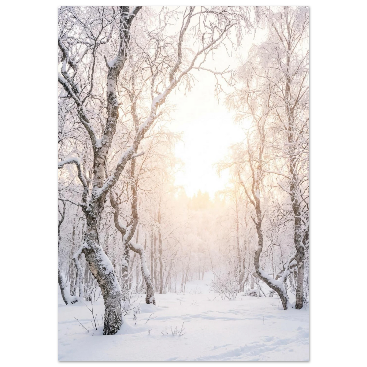Birches in Winter Fog, fine art print by Jonnadee
