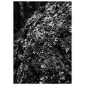 8f4bb124-40c4-4d82-9e94-f59c3ff00bef