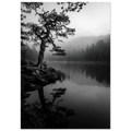 9ee812b1-d104-464c-96a7-ecfd486d49a1