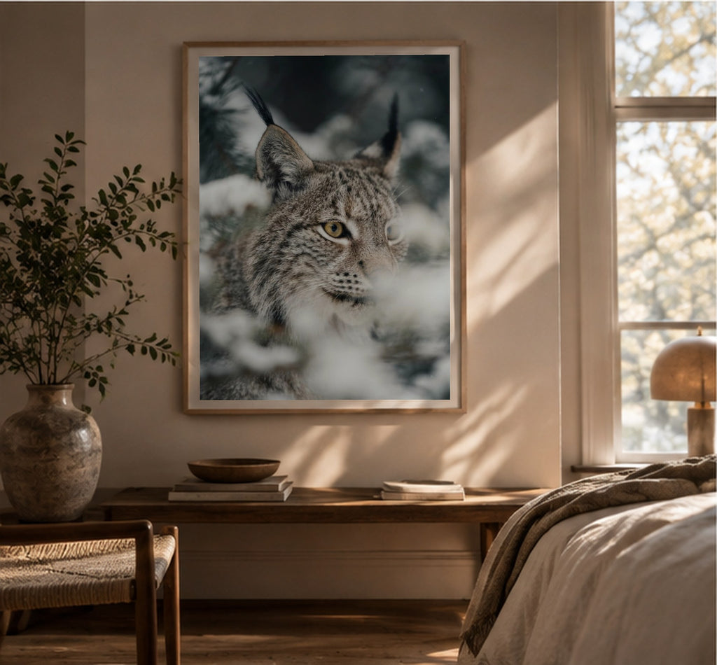 The Lynx's Face art print, shown framed for inspiration in a bright room with a plant