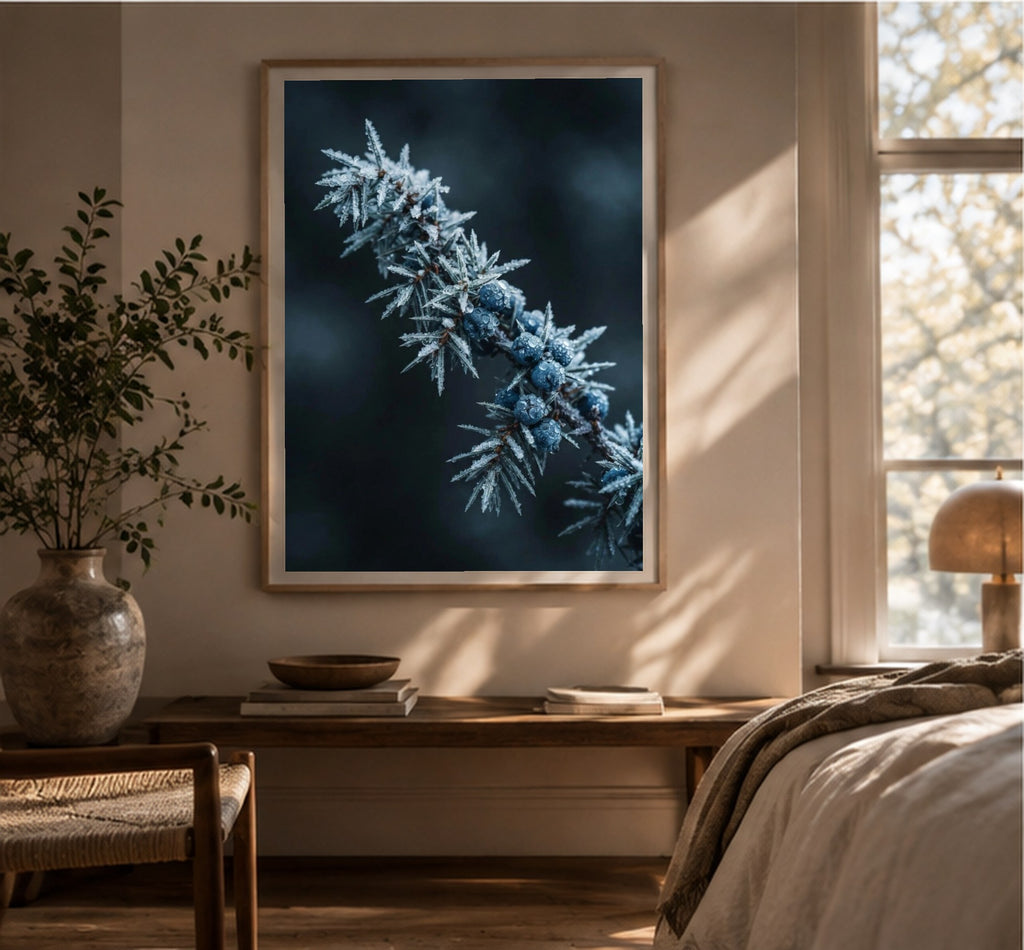 Frosted Juniper art print, shown framed for inspiration in a bright room with a plant