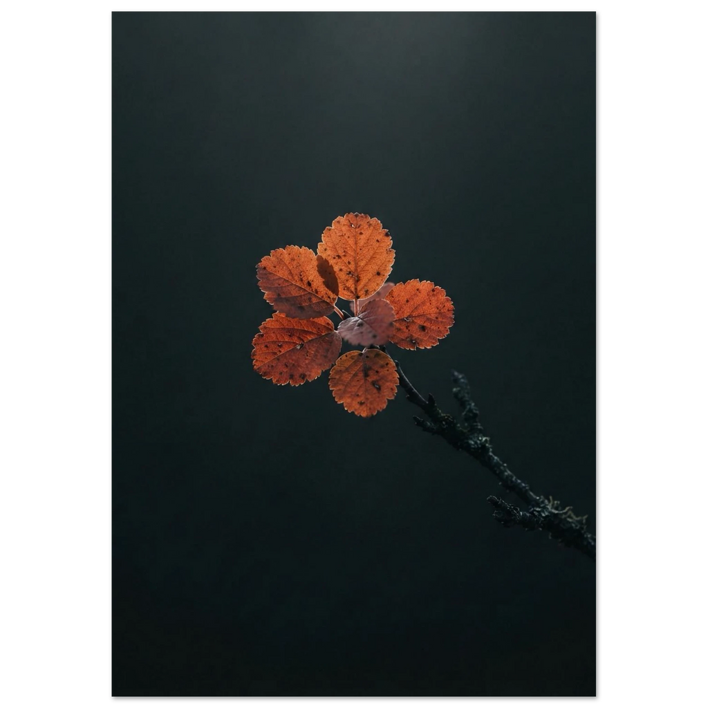 Dwarf Birch in Autumn, fine art print by Jonnadee