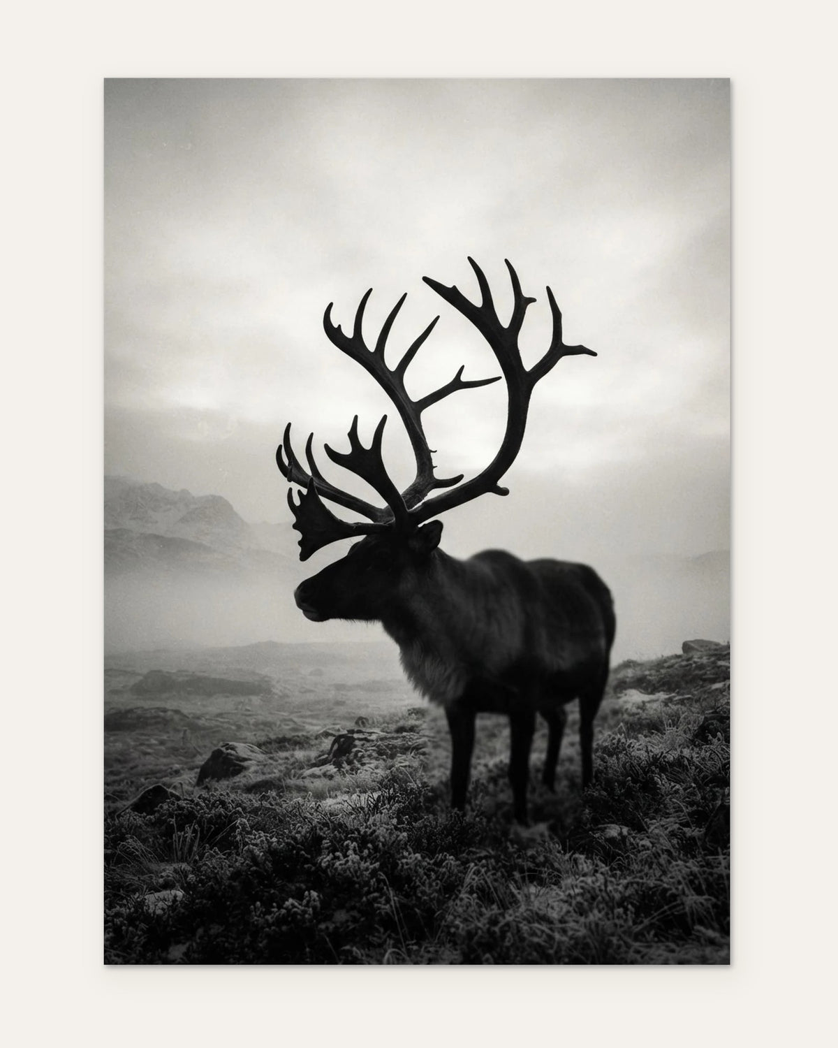 Antlers at Dawn, fine art print by Jonnadee