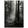 b42dafec-4186-4e2c-8b80-30989df500f0