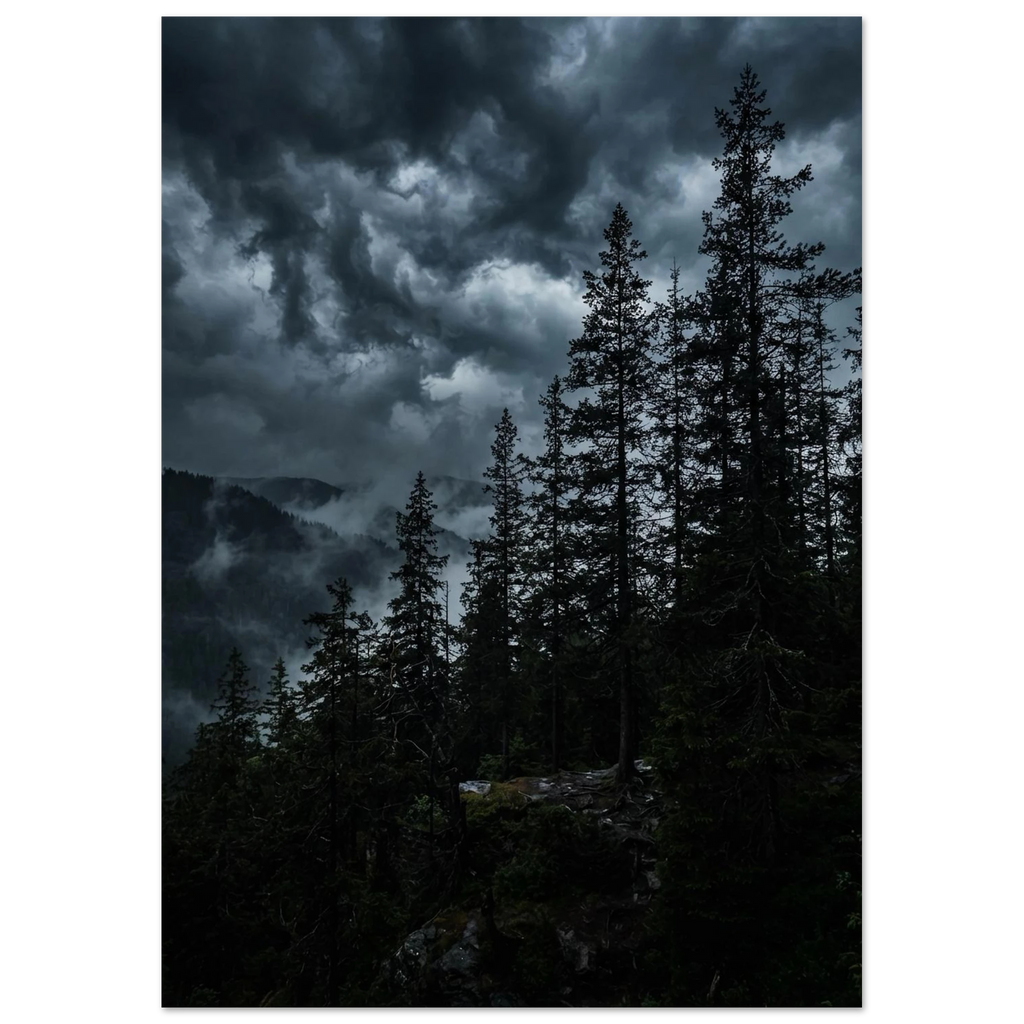 Pine Silhouettes at Dusk, fine art print by Jonnadee
