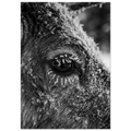 b7d0683d-aae5-4c1a-9c72-deadcdb8717b