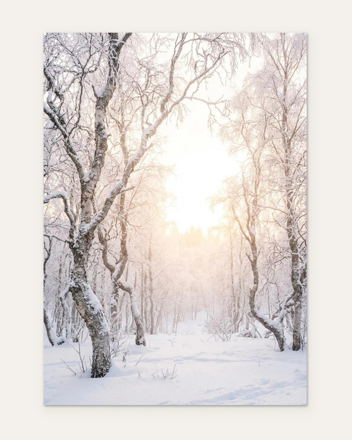 Birches in Winter Fog, fine art print by Jonnadee