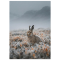 c51e0a66-5760-4a60-9433-882f669757b1