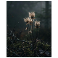 ca047574-7a96-4f67-9c7a-24bc10d517c8