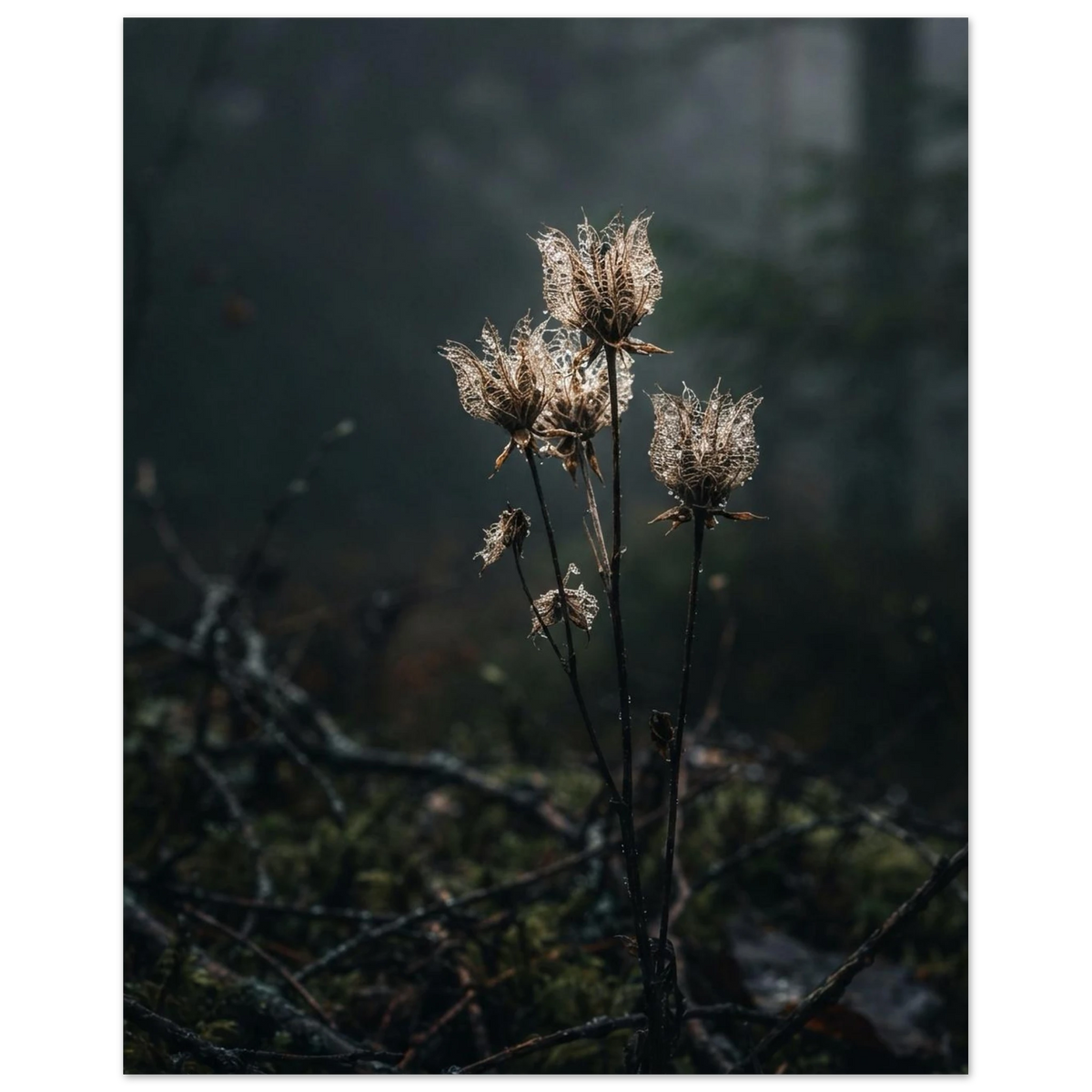 ca047574-7a96-4f67-9c7a-24bc10d517c8