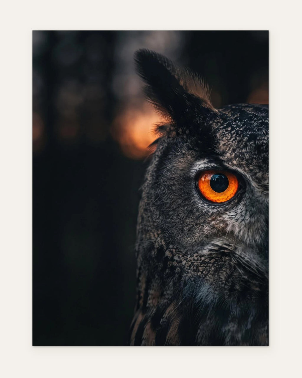 Dawn Watch, fine art print by Jonnadee