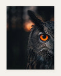 Dawn Watch, fine art print by Jonnadee