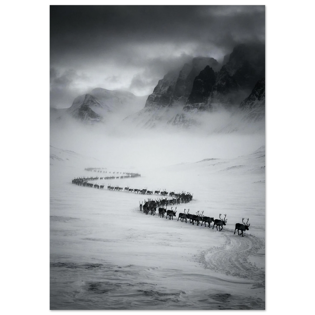 Reindeer Herd in the Valley, fine art print by Jonnadee