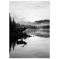 e0120b4d-4368-4d2e-a7f8-5696bc07c9b4