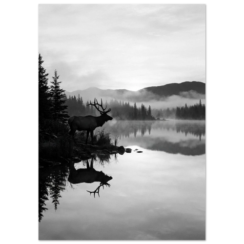 e0120b4d-4368-4d2e-a7f8-5696bc07c9b4