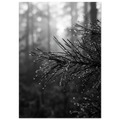 e0294857-6c54-4dcf-b9f8-f500ebb68651