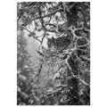 e201c425-3952-4195-ac36-4518725f78ba