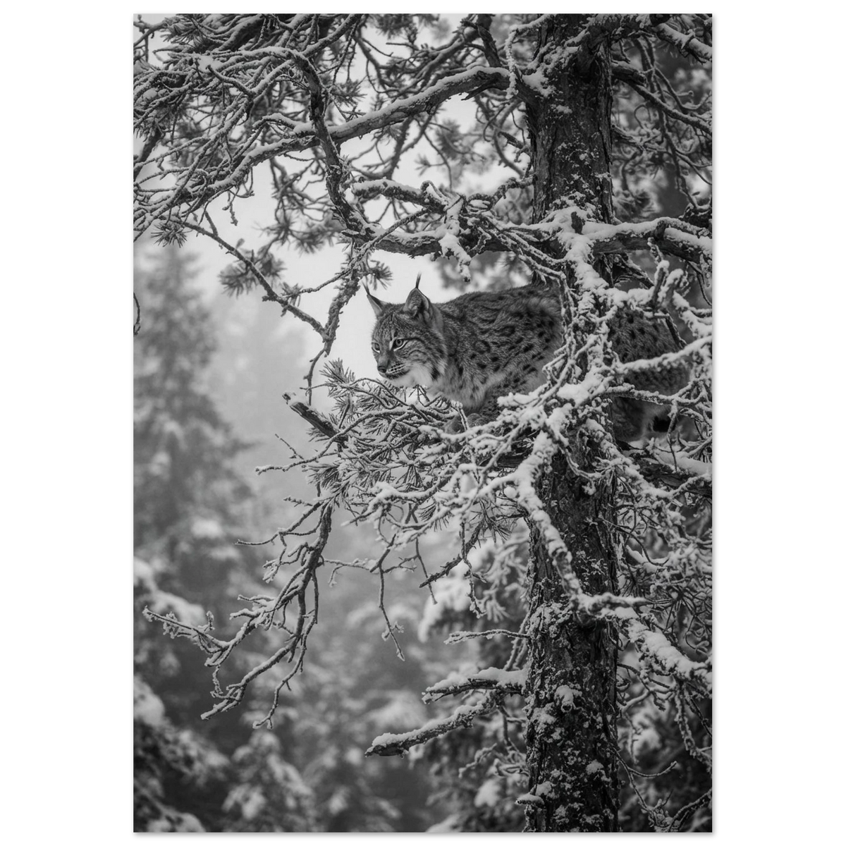e201c425-3952-4195-ac36-4518725f78ba