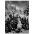 e46b5209-f683-4a0f-bf40-f9573395b6f6