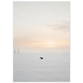 e4728680-ccab-462c-b743-c60d72e1853f