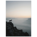 e66caa2b-46d5-4f95-9077-c4a8d024fd57