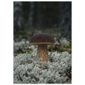 eb69fa43-cf15-4ed6-a7ef-eb2a25ca54d9