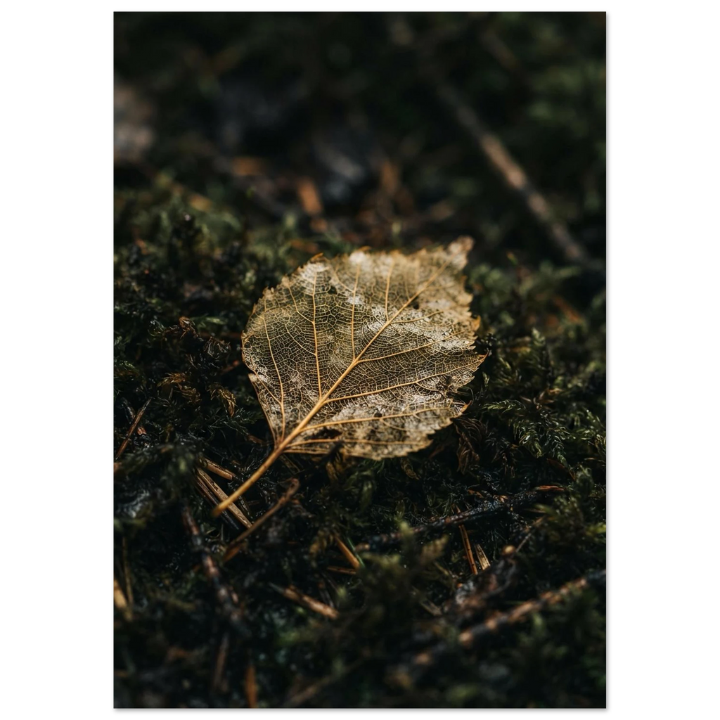 Golden Birch Leaf on Moss, fine art print by Jonnadee