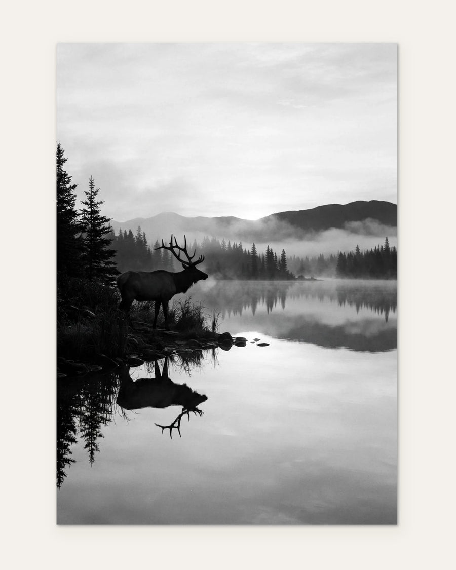 Elk by the Lake