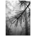 f3d886fe-4e91-46be-8a63-3667d8b341bc