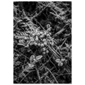 f76a577b-62e3-4916-abd0-4905bc416783