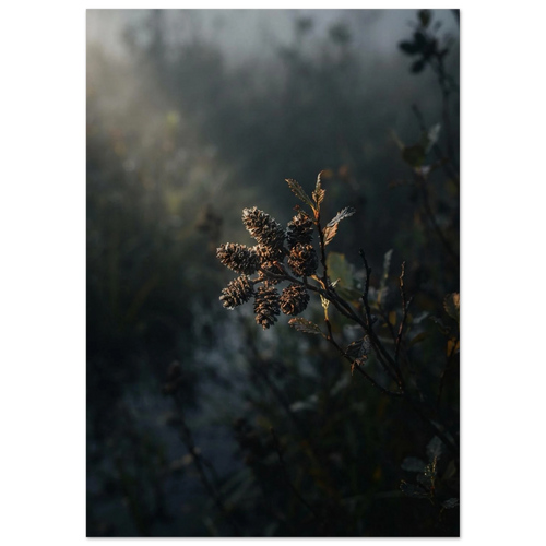 fc24596b-66d9-4e31-a6c5-7e3458691f1d