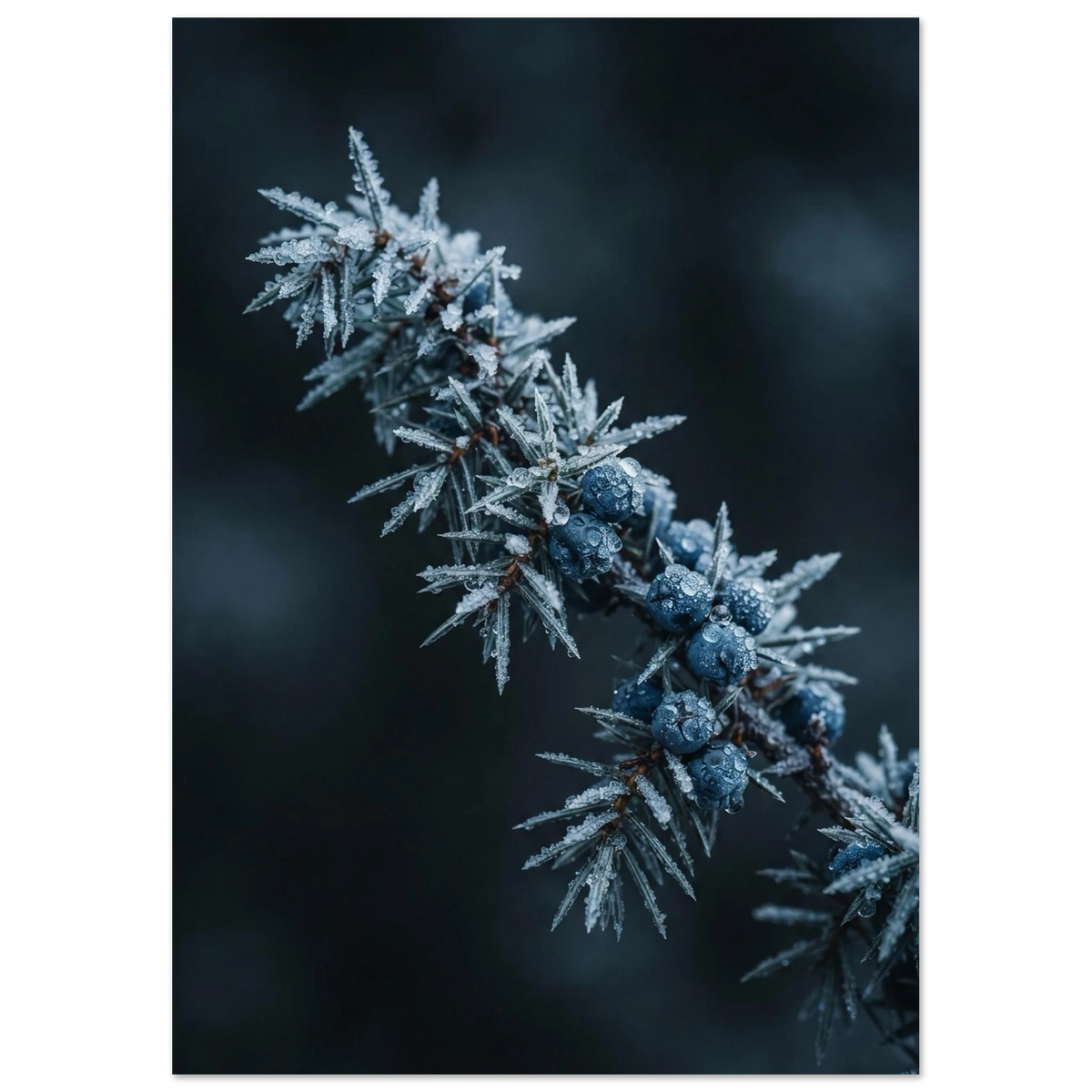 ff045323-ab96-46c8-9a9e-d31a0120fe79