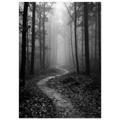 ff7c2c9e-10f5-427f-84e1-6be18cd564ce
