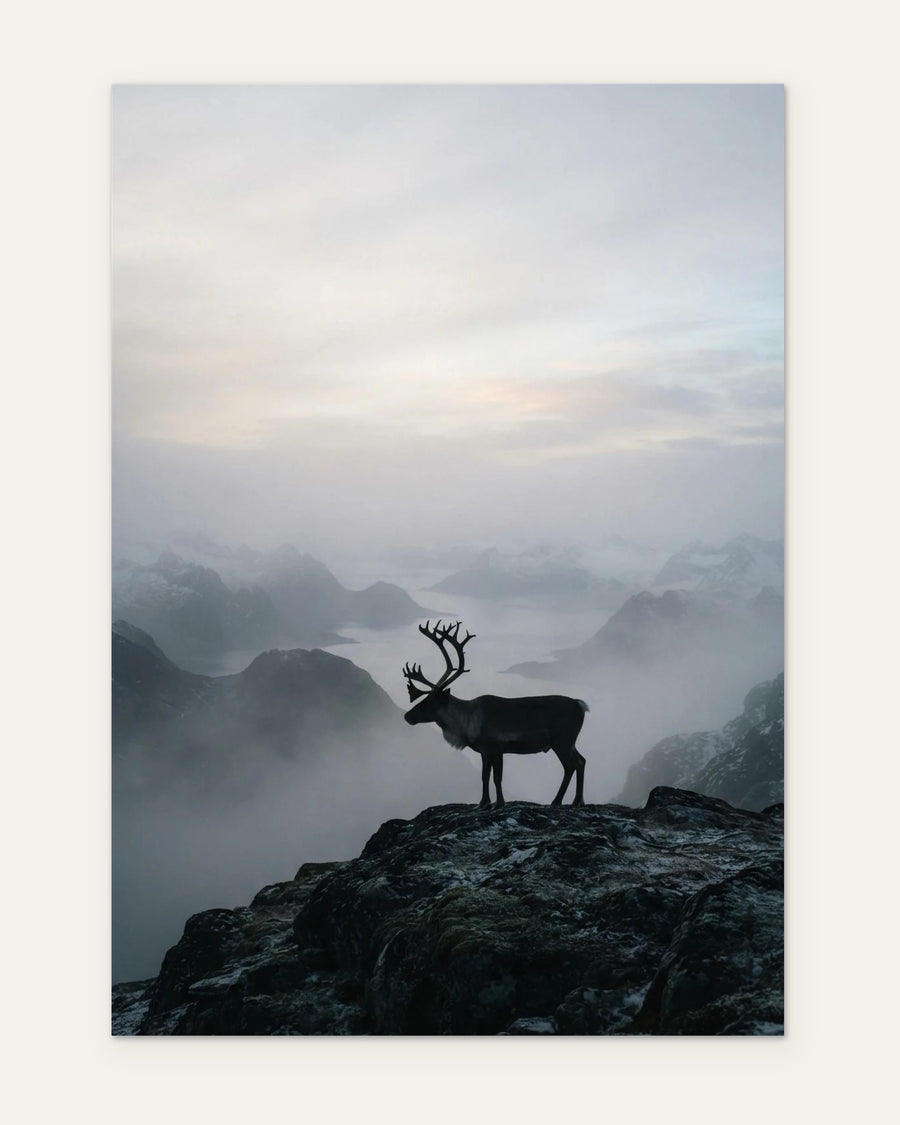 Reindeer at Daybreak, fine art print by Jonnadee