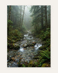 Stream Over Stones, fine art print by Jonnadee