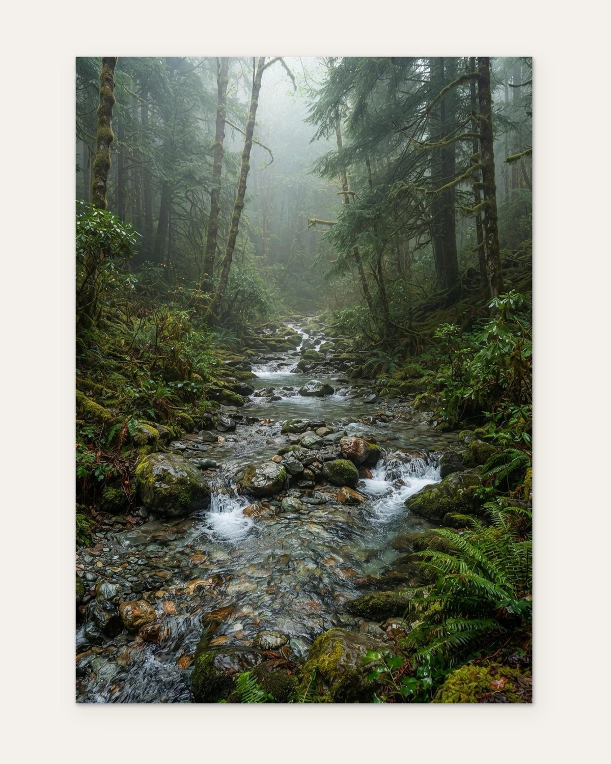 Stream Over Stones, fine art print by Jonnadee